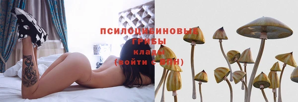 гидропоника Нея