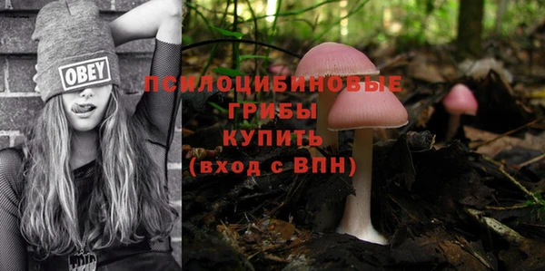 марки nbome Нефтекумск
