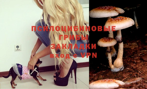 марки nbome Нефтекумск